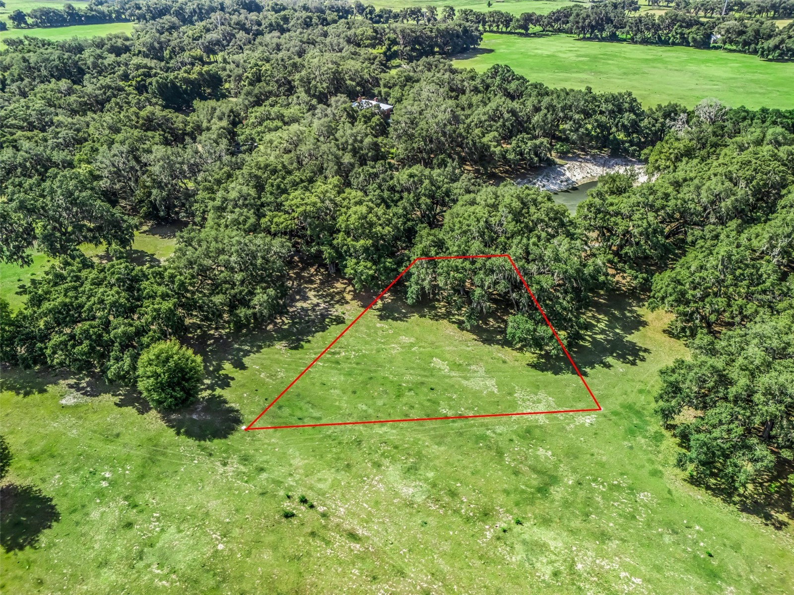 Lot 11 Cr 543 Bushnell FL 33513 TB8523173 image14
