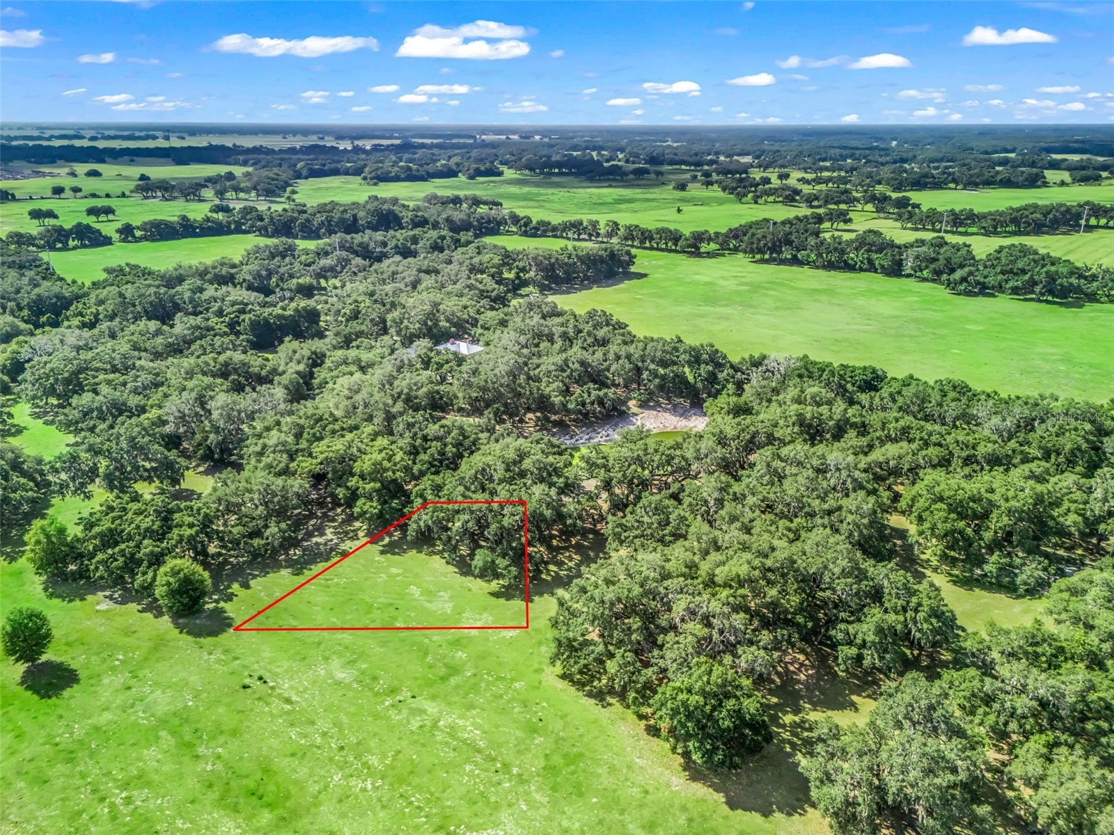 Lot 11 Cr 543 Bushnell FL 33513 TB8523173 image15