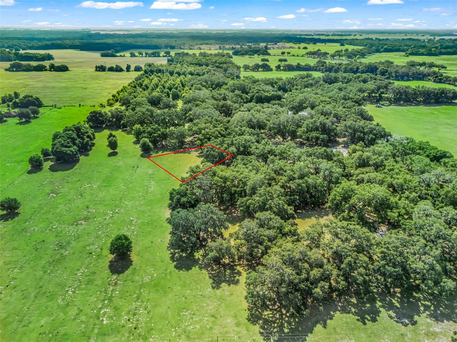 Lot 11 Cr 543 Bushnell FL 33513 TB8523173 image17