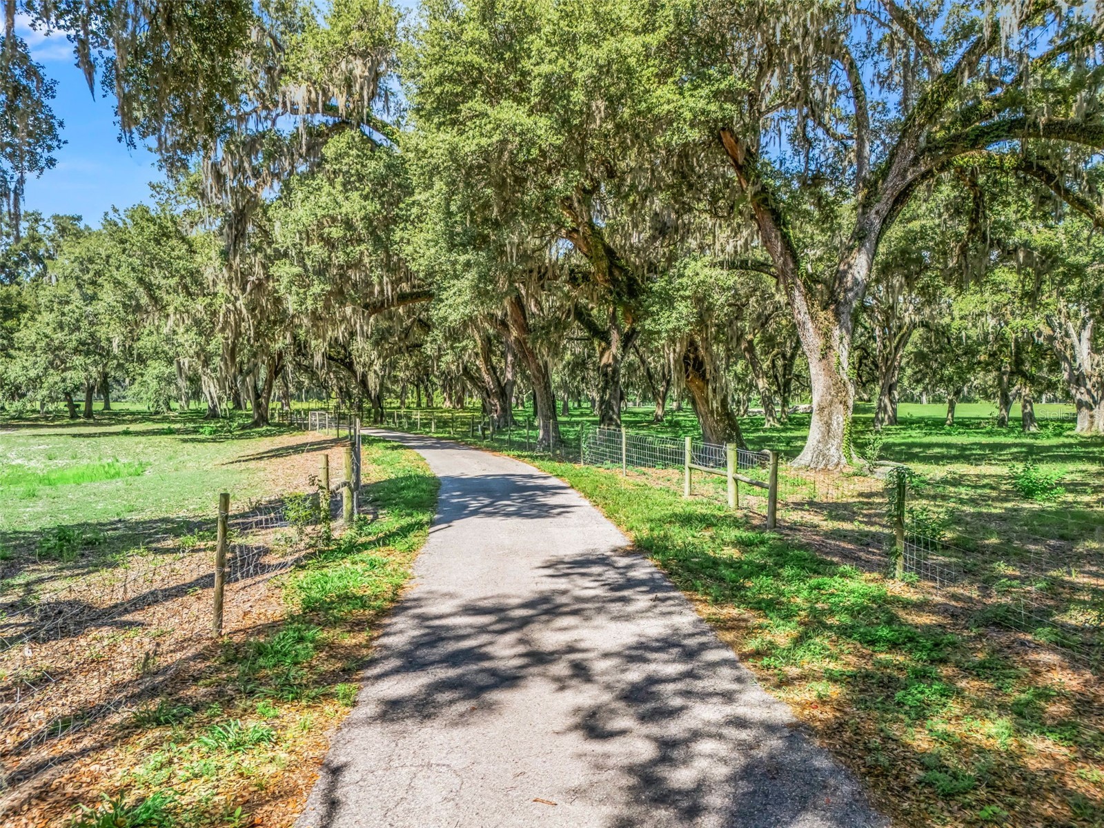Lot 11 Cr 543 Bushnell FL 33513 TB8523173 image27