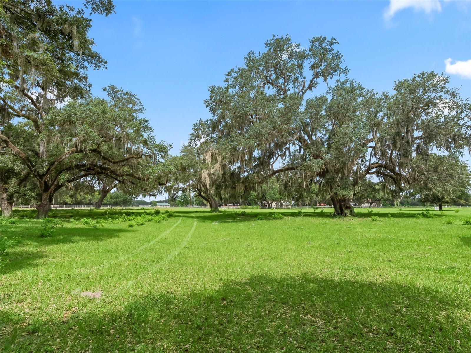 Lot 11 Cr 543 Bushnell FL 33513 TB8523173 image28