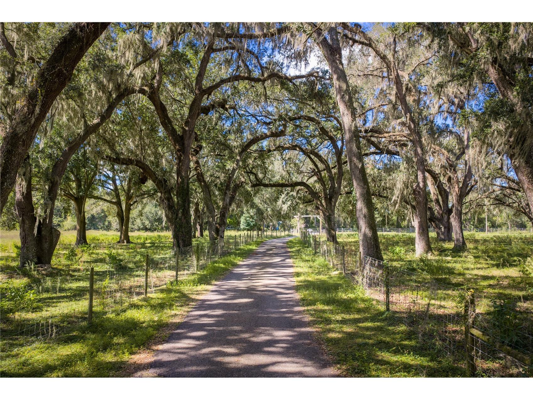 Lot 11 Cr 543 Bushnell FL 33513 TB8523173 image29