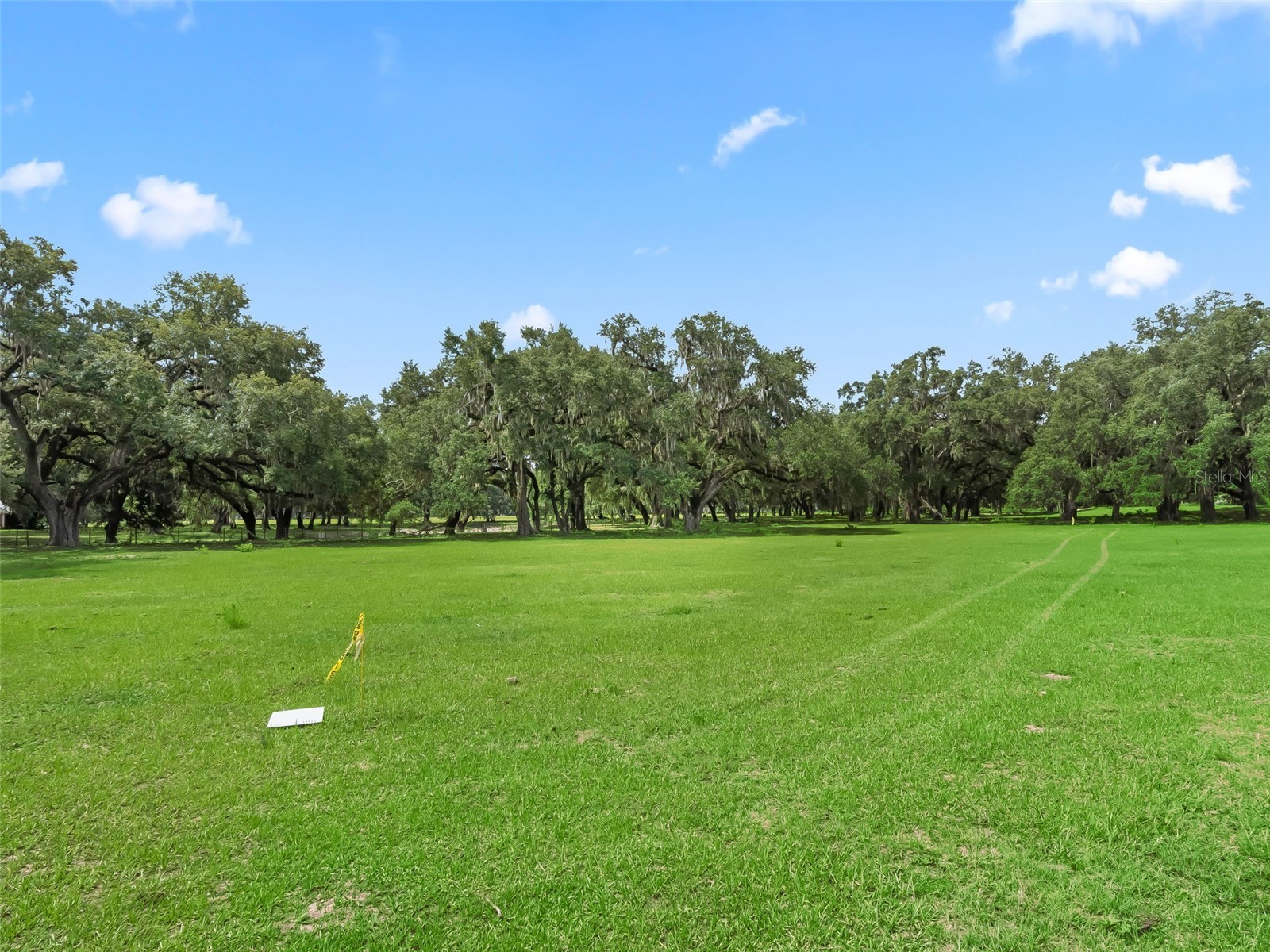 Lot 11 Cr 543 Bushnell FL 33513 TB8523173 image3