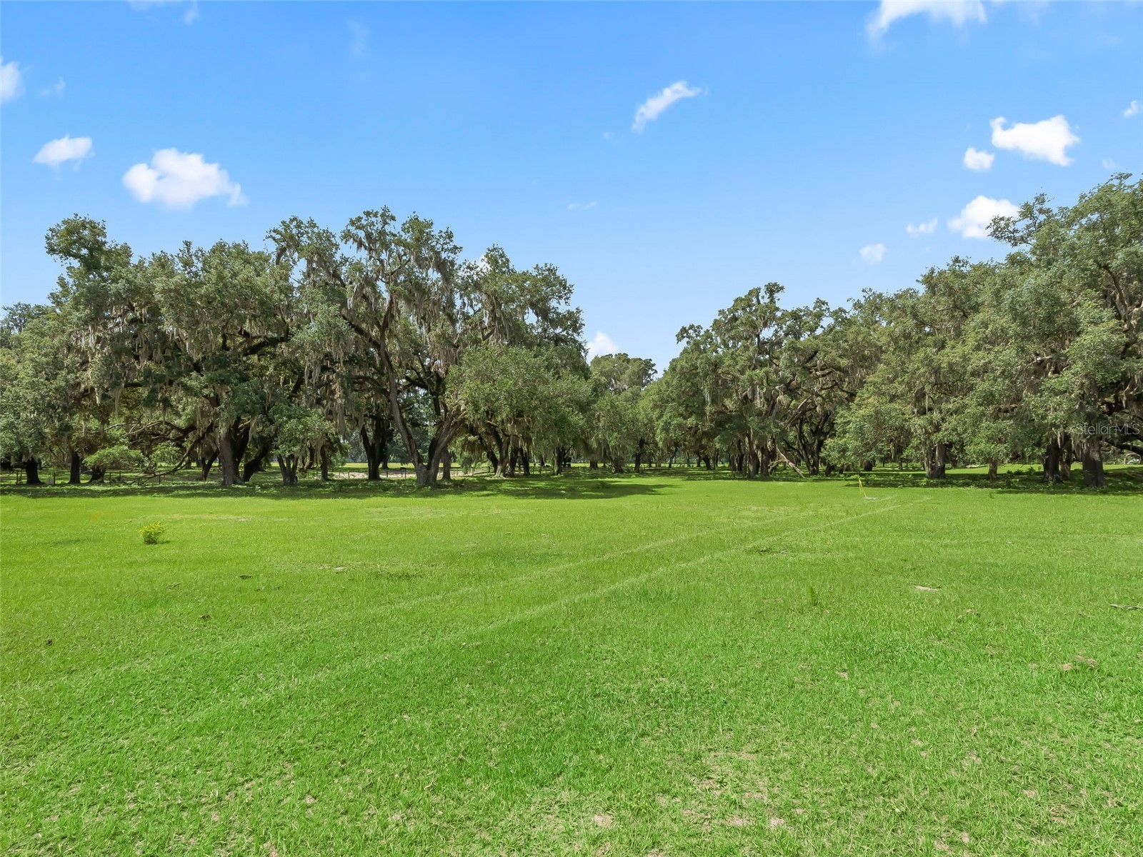 Lot 11 Cr 543 Bushnell FL 33513 TB8523173 image4