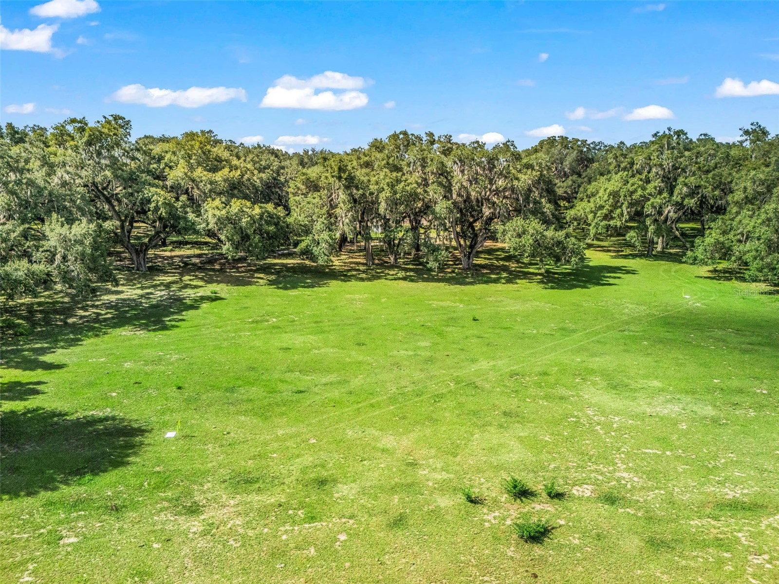 Lot 11 Cr 543 Bushnell FL 33513 TB8523173 image6