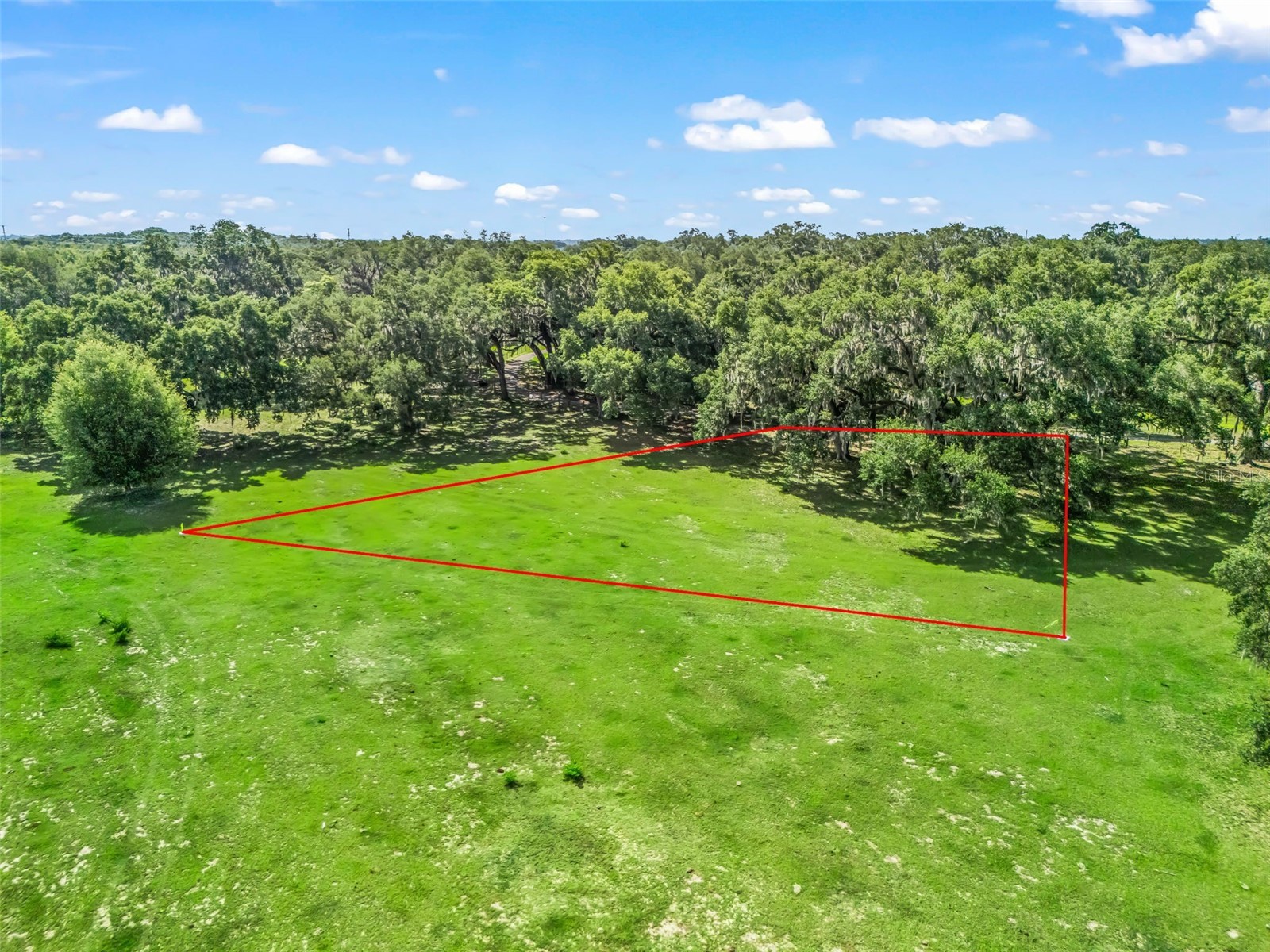 Lot 11 Cr 543 Bushnell FL 33513 TB8523173 image7