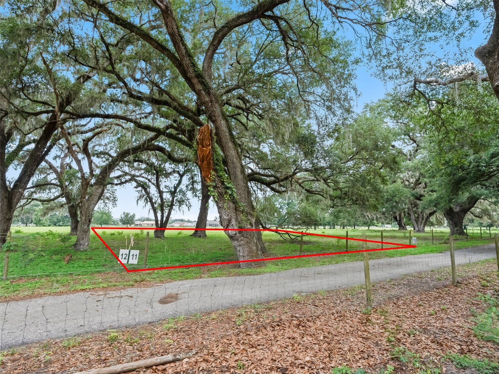 Lot 11 Cr 543 Bushnell FL 33513 TB8523173 image9