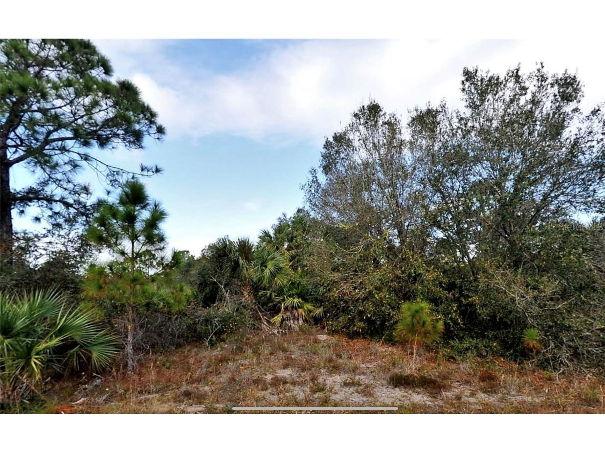 Lot 11 Marsden Avenue North Port FL 34288 C7516449 image1