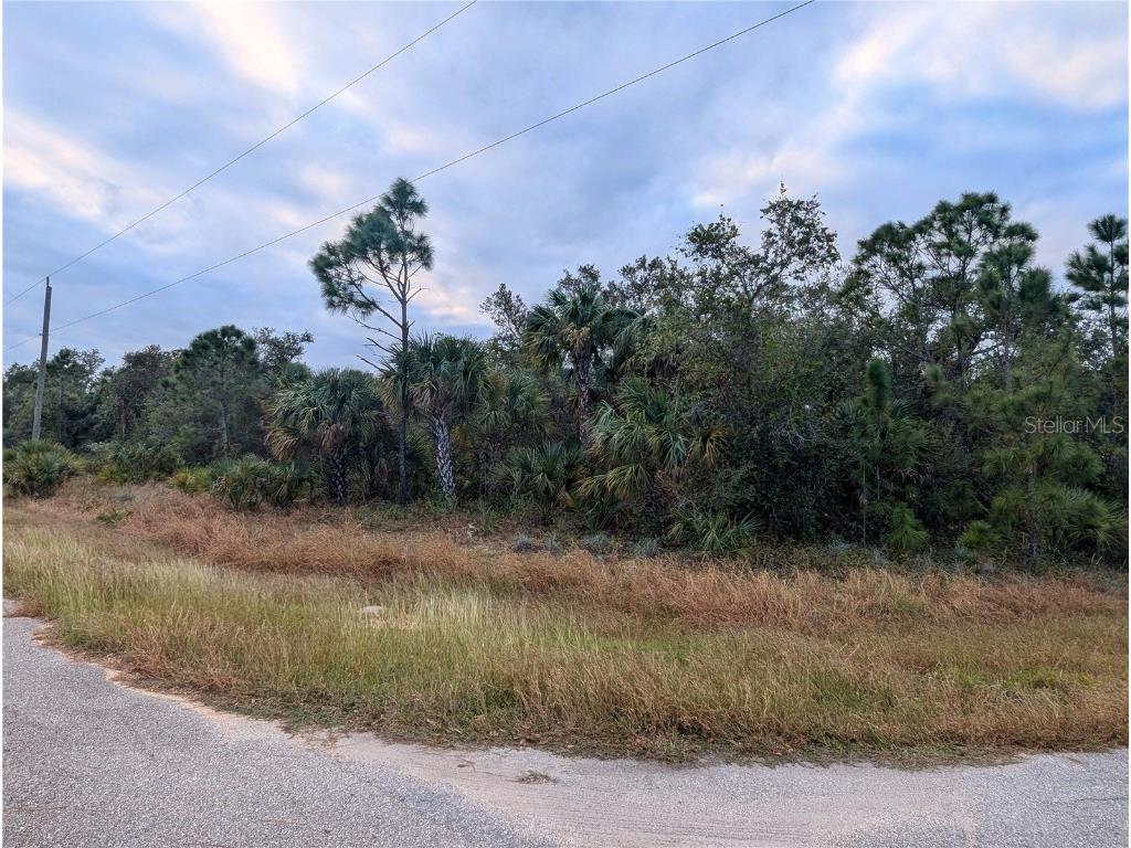Lot 11 Mattox Circle North Port FL 34288 C7500263 image1