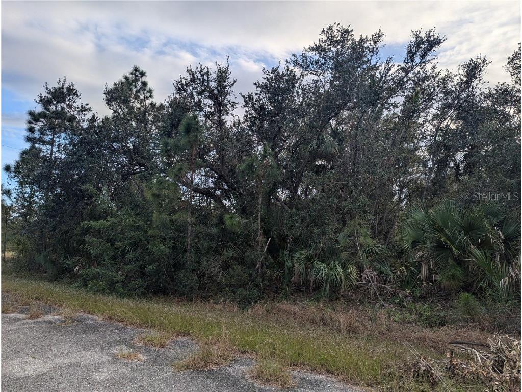 Lot 11 Mattox Circle North Port FL 34288 C7500263 image4