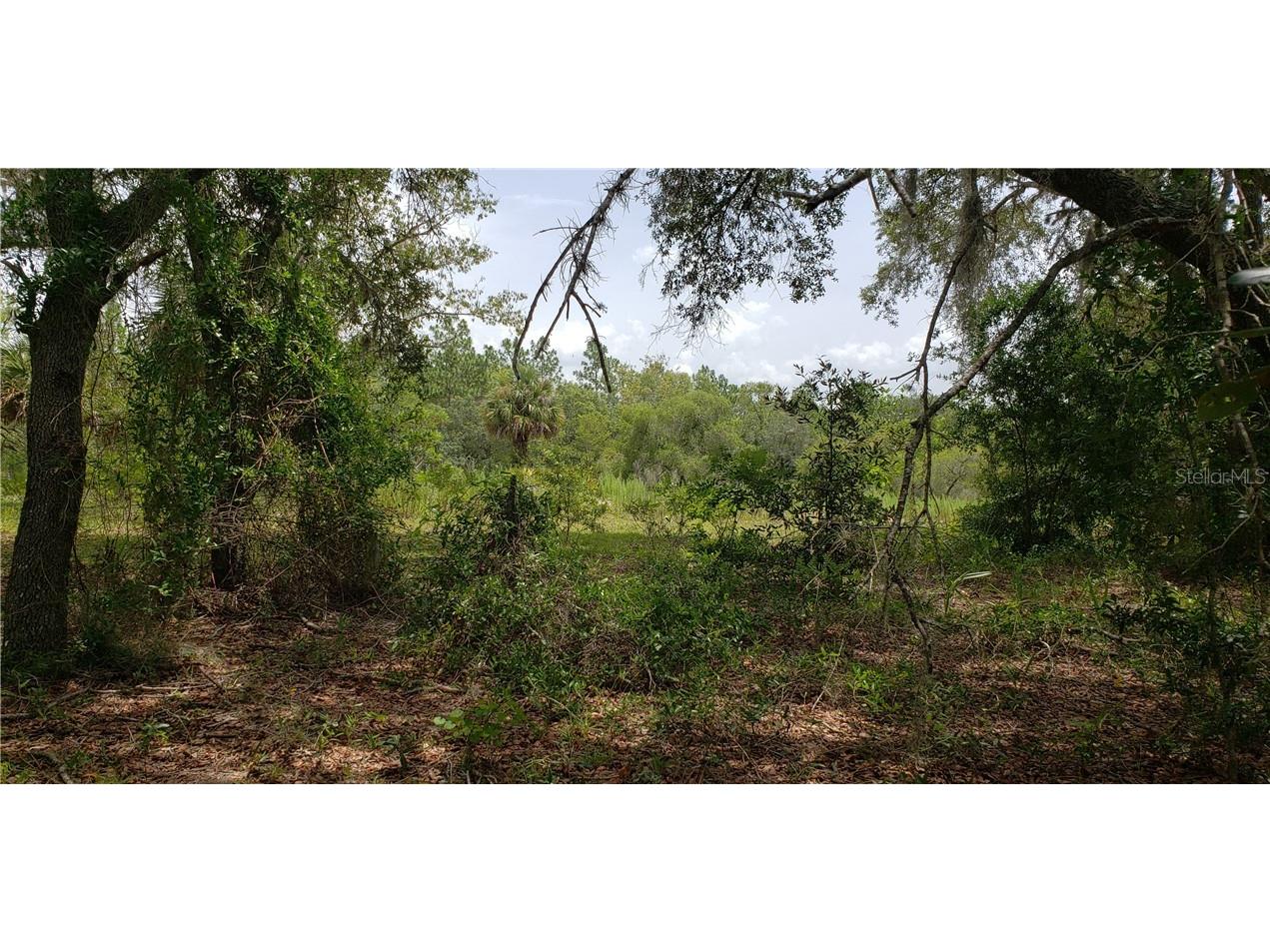 Lot 11 NE Alt Hwy 27 Williston FL 32696 OM616092 image2