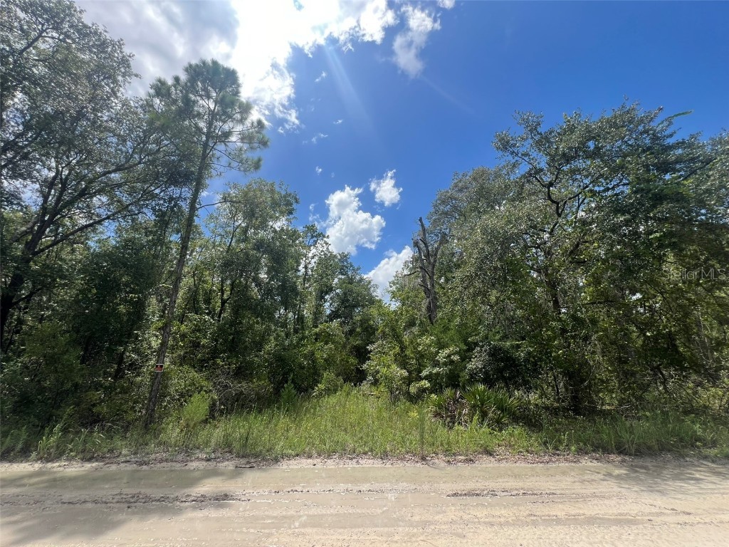 Lot 11 NW 11th Avenue Bell FL 32619 GC533230 image1