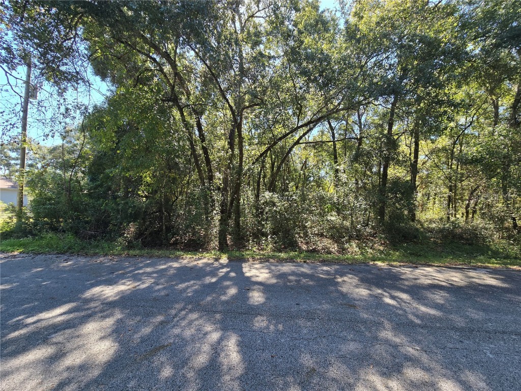 Lot 11 Nw 16th Place Ocala FL 34482 S5137544 image1