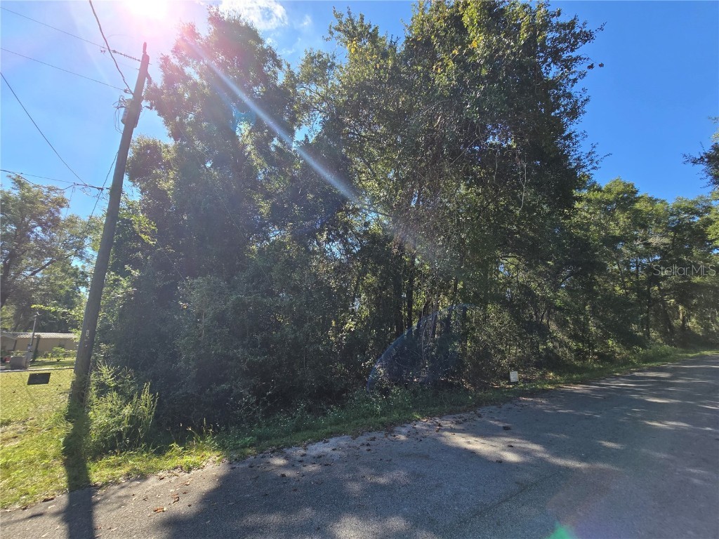 Lot 11 Nw 16th Place Ocala FL 34482 S5137544 image8