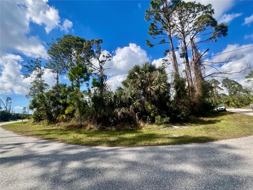 Lot 11 Pinewood Street North Port FL 34288 C7505313 image1