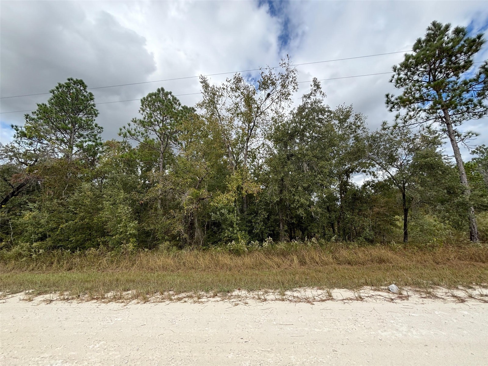Lot 11 Red Marlin Avenue Weeki Wachee FL 34614 W7881550 image2