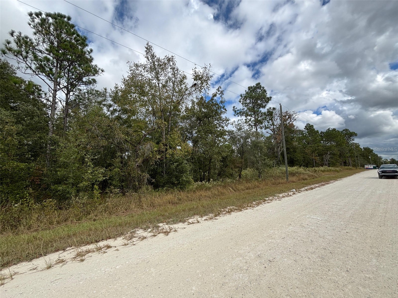 Lot 11 Red Marlin Avenue Weeki Wachee FL 34614 W7881550 image3