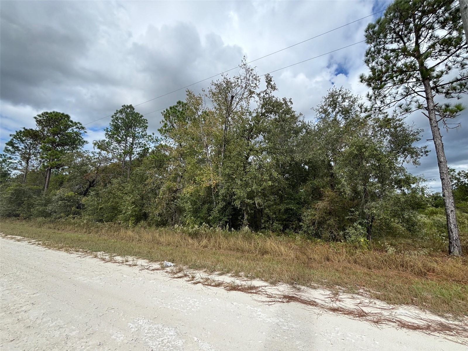 Lot 11 Red Marlin Avenue Weeki Wachee FL 34614 W7881550 image4