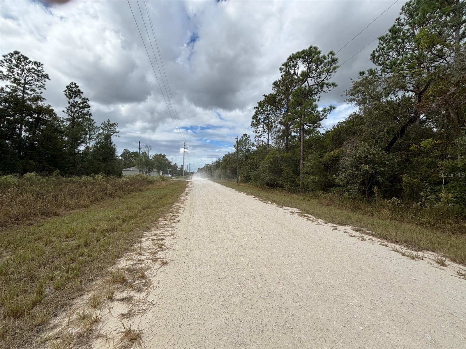 Lot 11 Red Marlin Avenue Weeki Wachee FL 34614 W7881550 image6