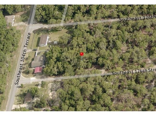 Lot 11 SE 126th Street Belleview FL 34420 OM667295 image1