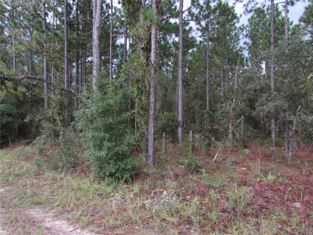 Lot 11 SW 96th Lane Dunnellon FL 34432 OM685659 image1