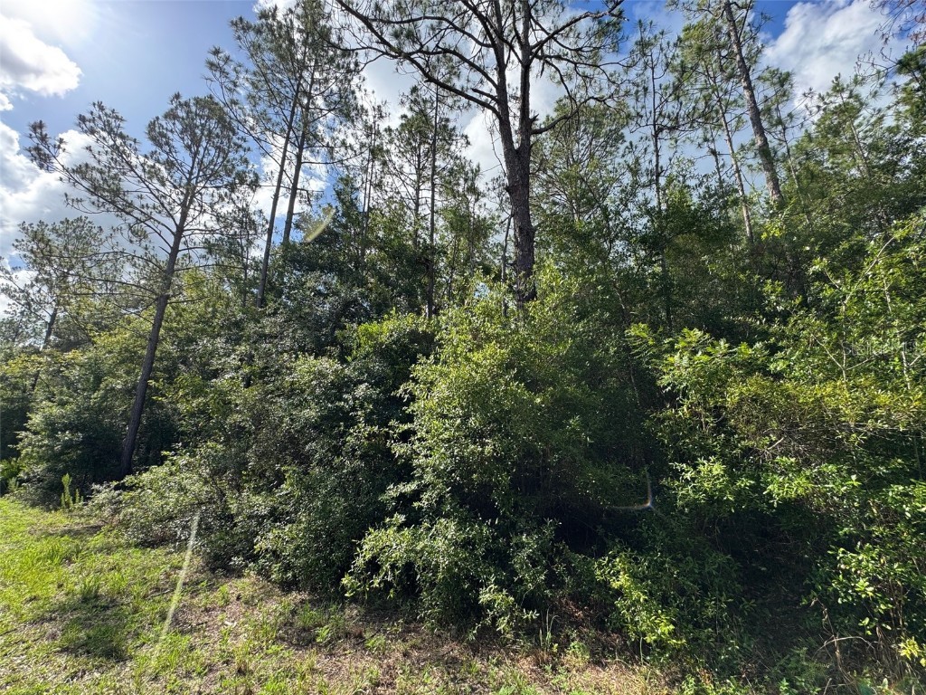 Lot#11 SW South Beach Court Dunnellon FL 34431 OM705259 image5