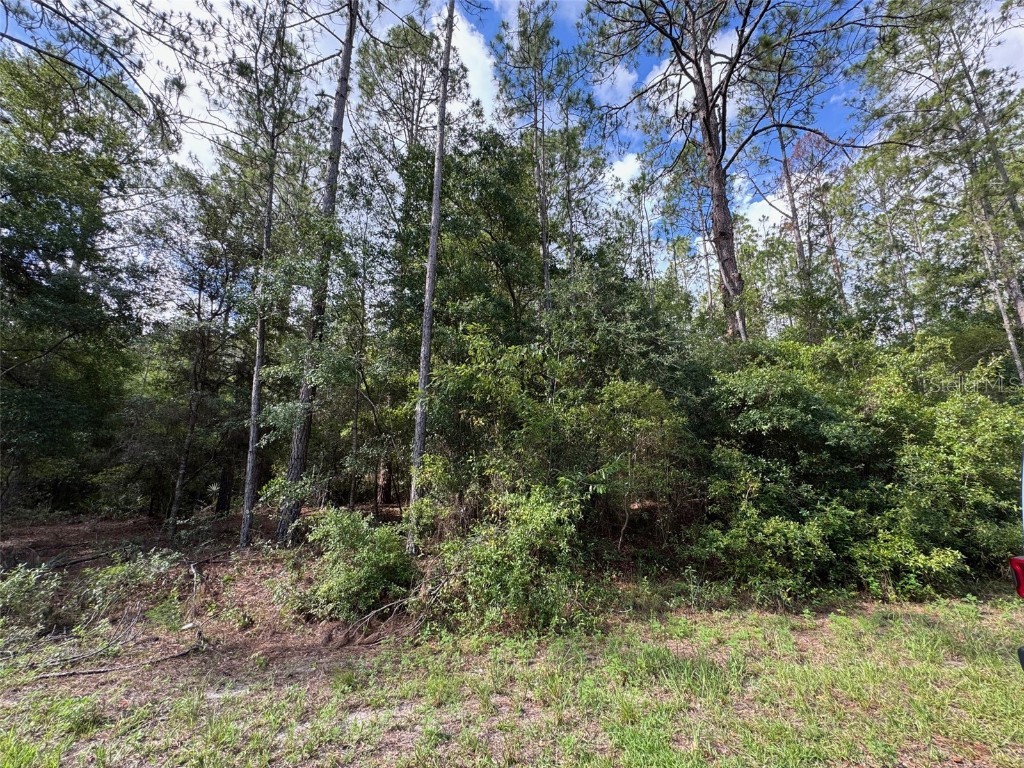 Lot#11 SW South Beach Court Dunnellon FL 34431 OM705259 image6