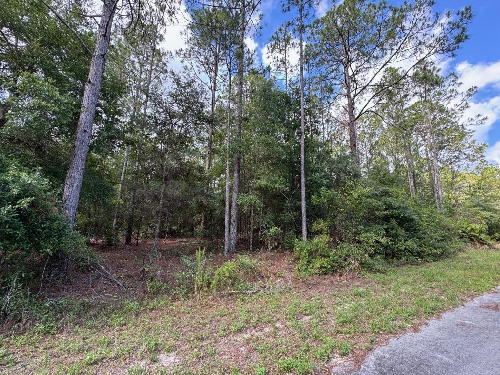 Lot#11 SW South Beach Court Dunnellon FL 34431 OM705259 image7