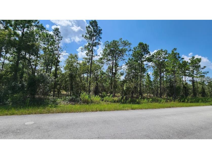 Lot 11 SW Viburnum Road Dunnellon FL 34431 OM664099 image1