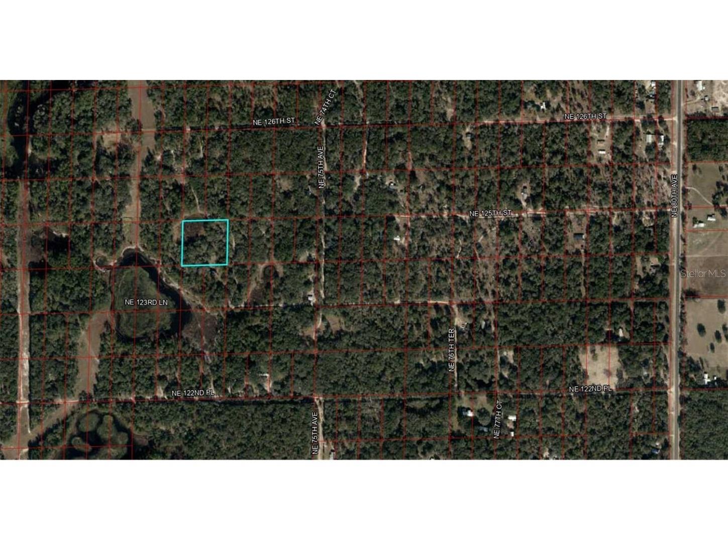 Lot 110 &111 NE 125th St Bronson FL 32621 GC530658 image1