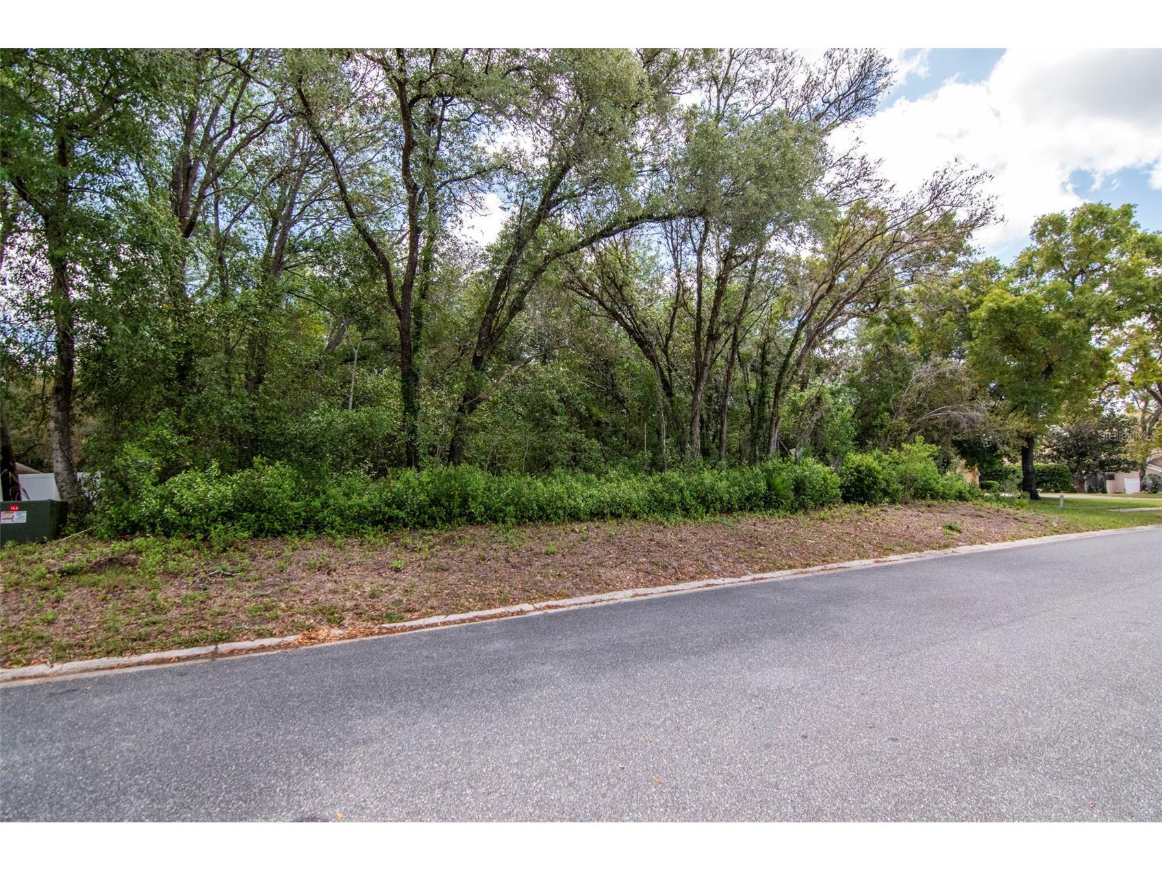 Lot 111 Winding Oaks Boulevard Hudson FL 34667 TB8494781 image13