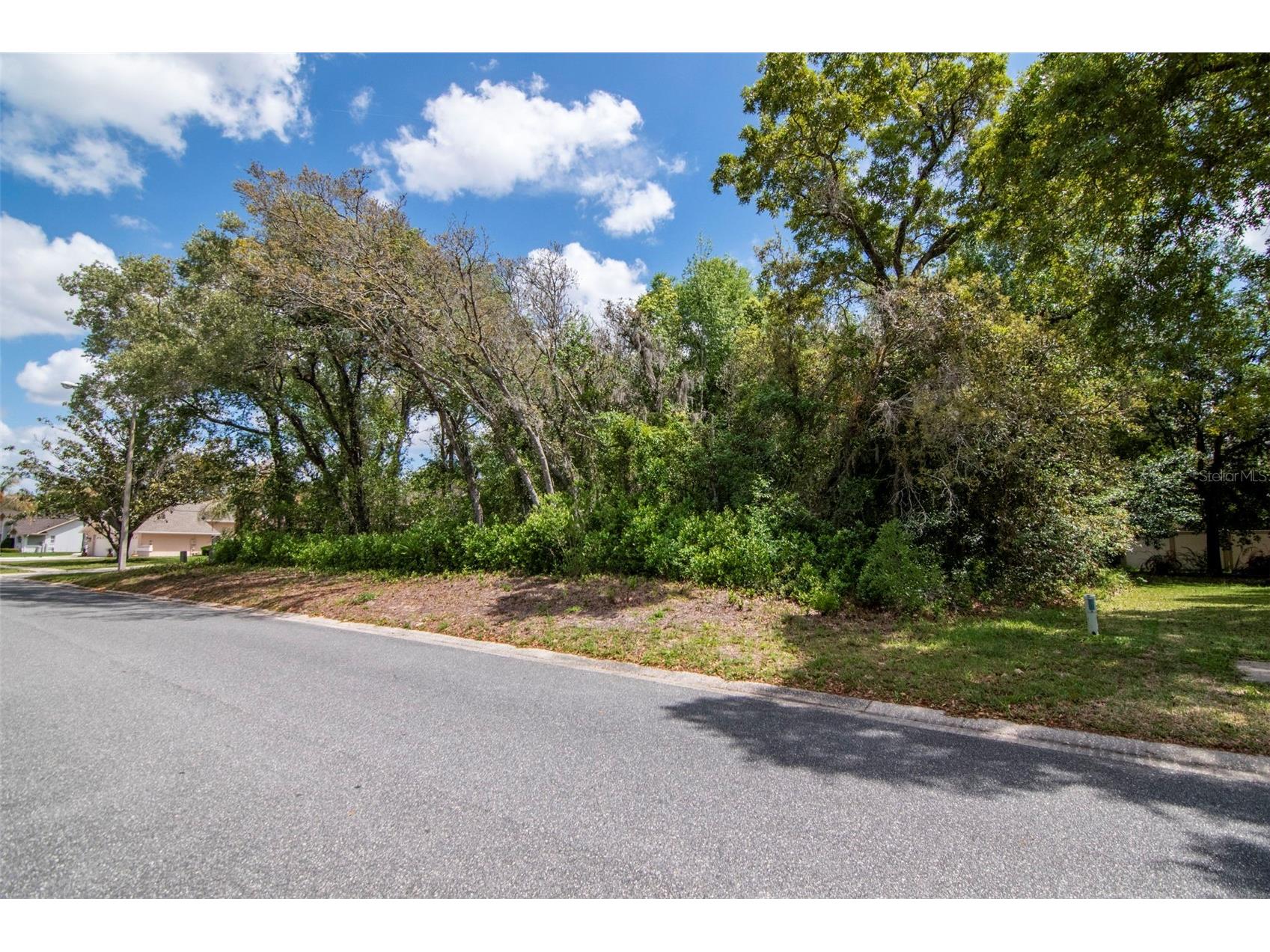 Lot 111 Winding Oaks Boulevard Hudson FL 34667 TB8494781 image18