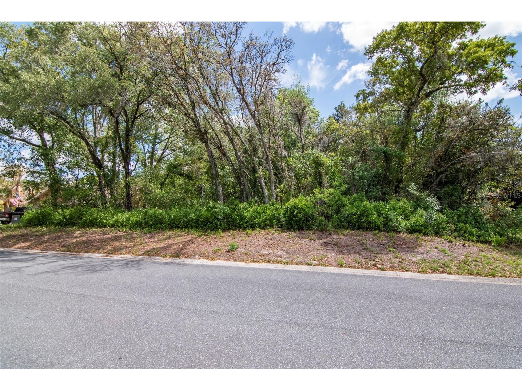 Lot 111 Winding Oaks Boulevard Hudson FL 34667 TB8494781 image4