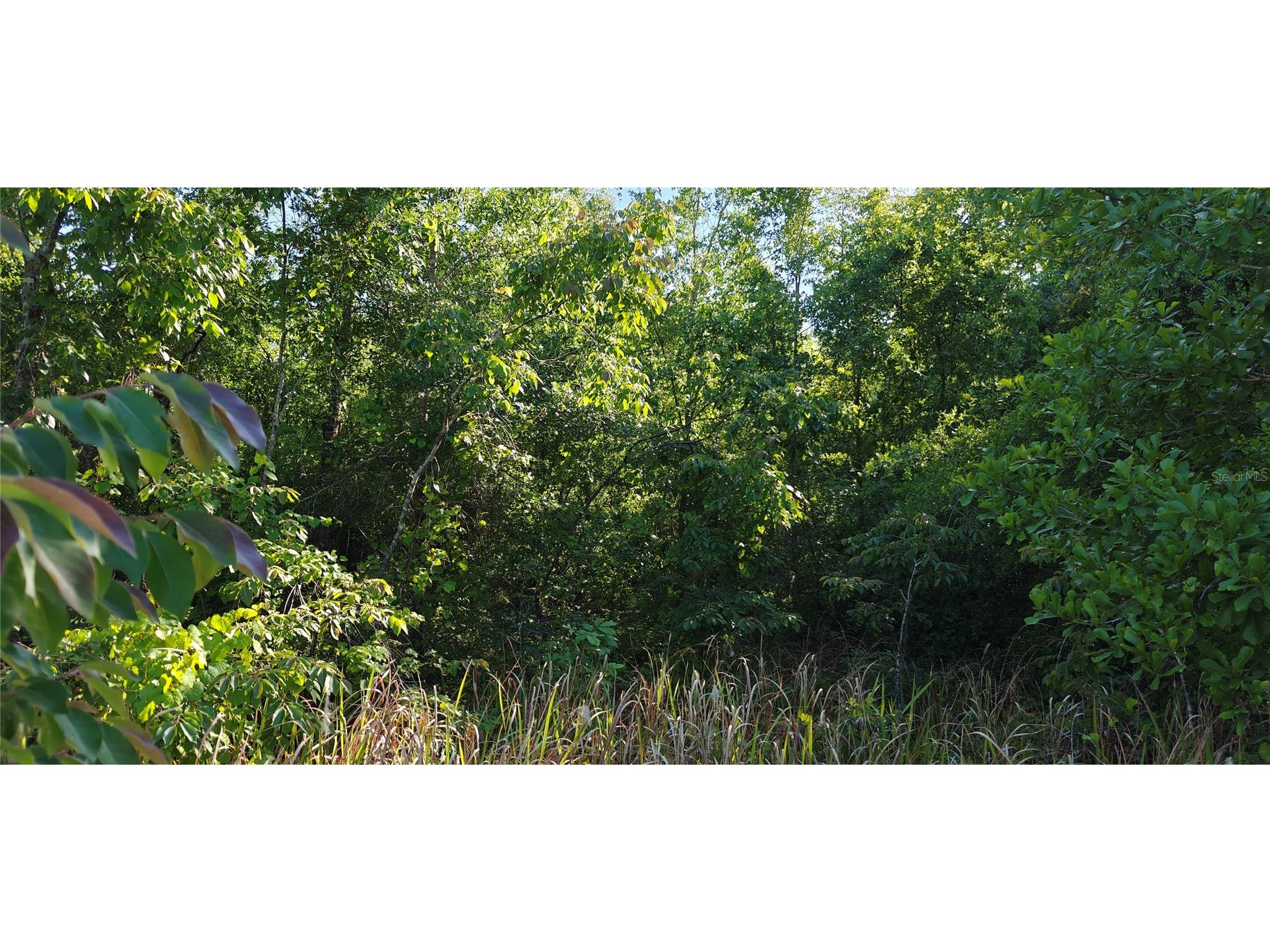 Lot 114 N Goodman Road Kissimmee FL 34747 O6399976 image5