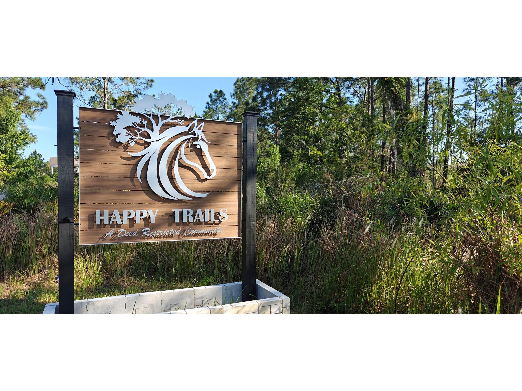 Lot 114 N Goodman Road Kissimmee FL 34747 O6399976 image6
