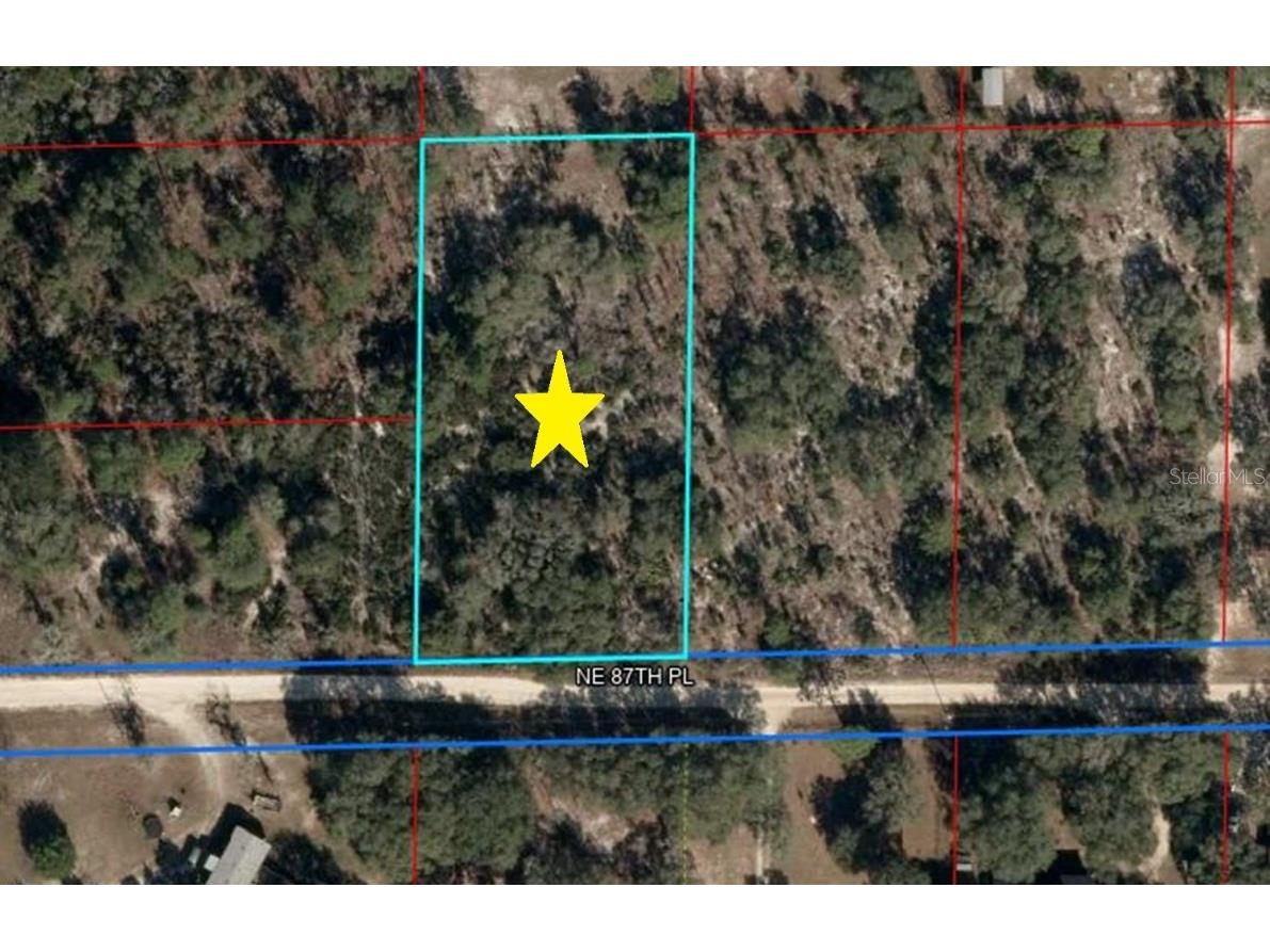 Lot 115 NE 87th Pl Bronson FL 32621 GC530740 image1