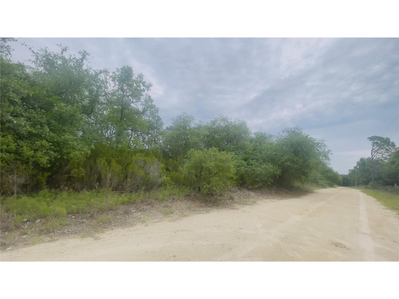 Lot 115 NE 87th Pl Bronson FL 32621 GC530740 image2