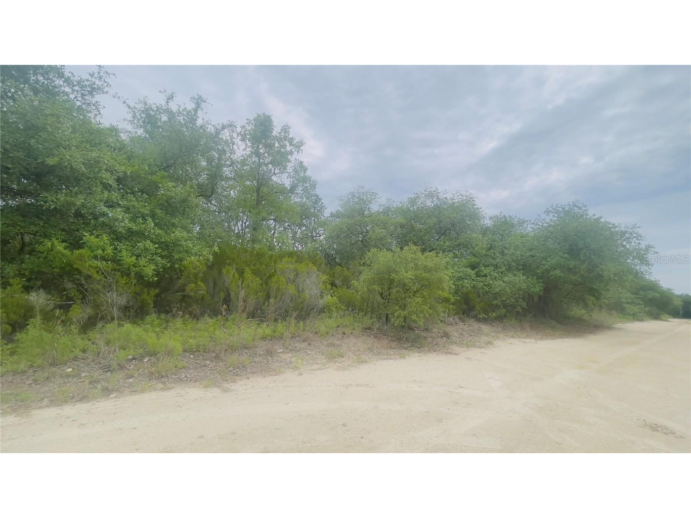 Lot 115 NE 87th Pl Bronson FL 32621 GC530740 image3