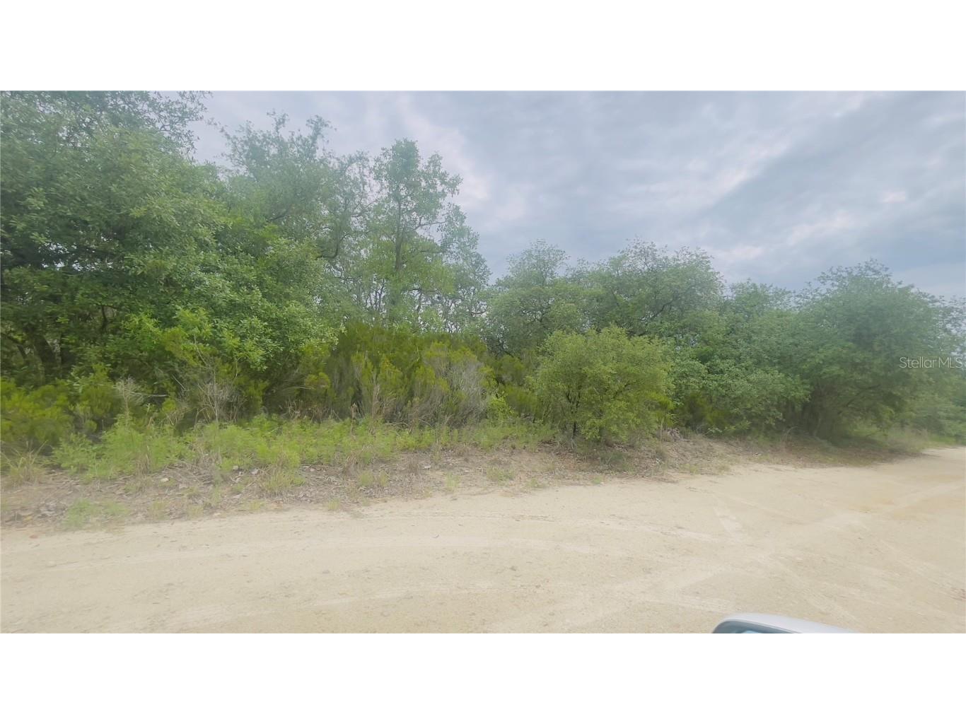 Lot 115 NE 87th Pl Bronson FL 32621 GC530740 image4