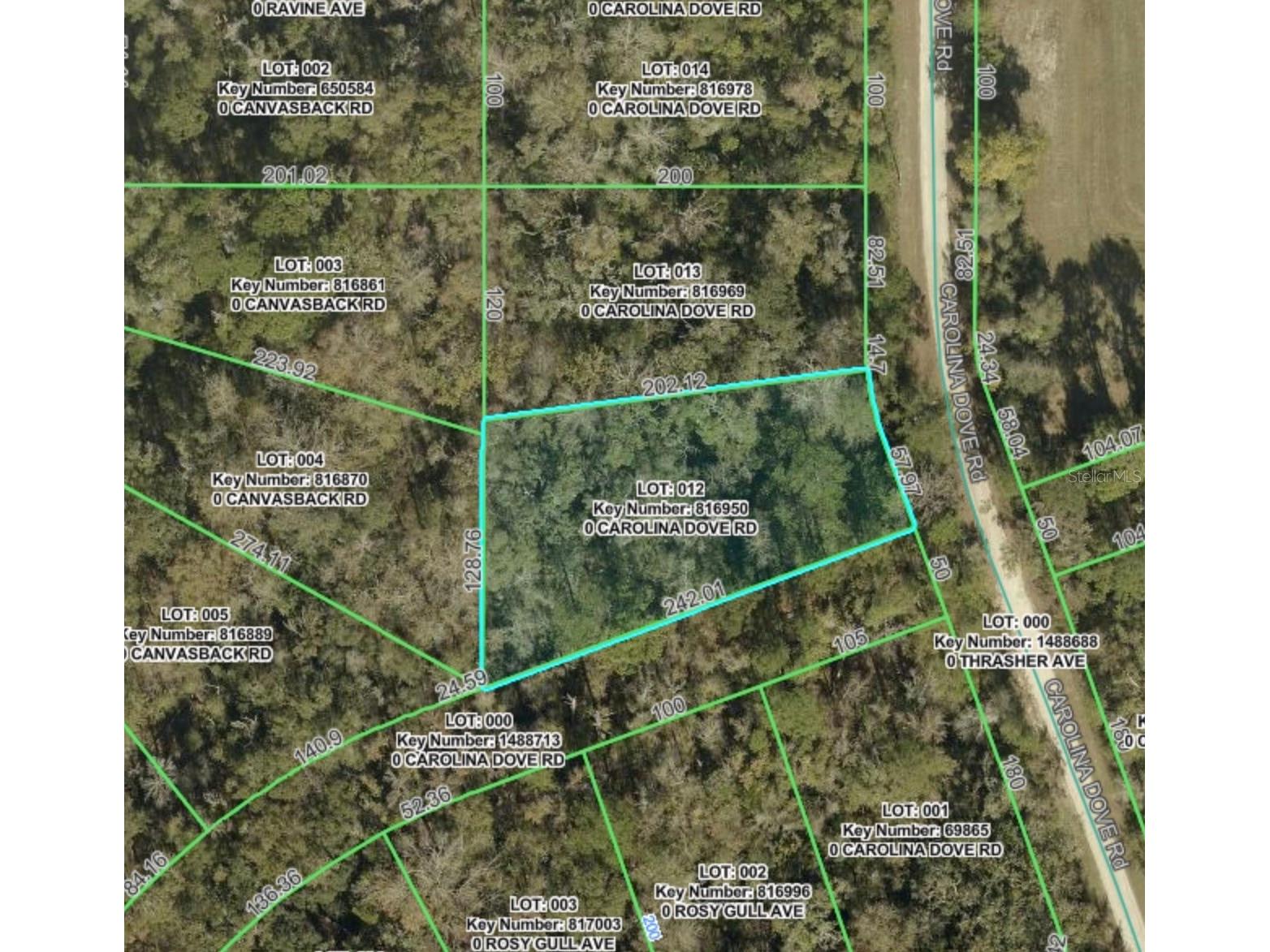 Lot 12 Carolina Dove Road Brooksville FL 34614 W7885305 image1