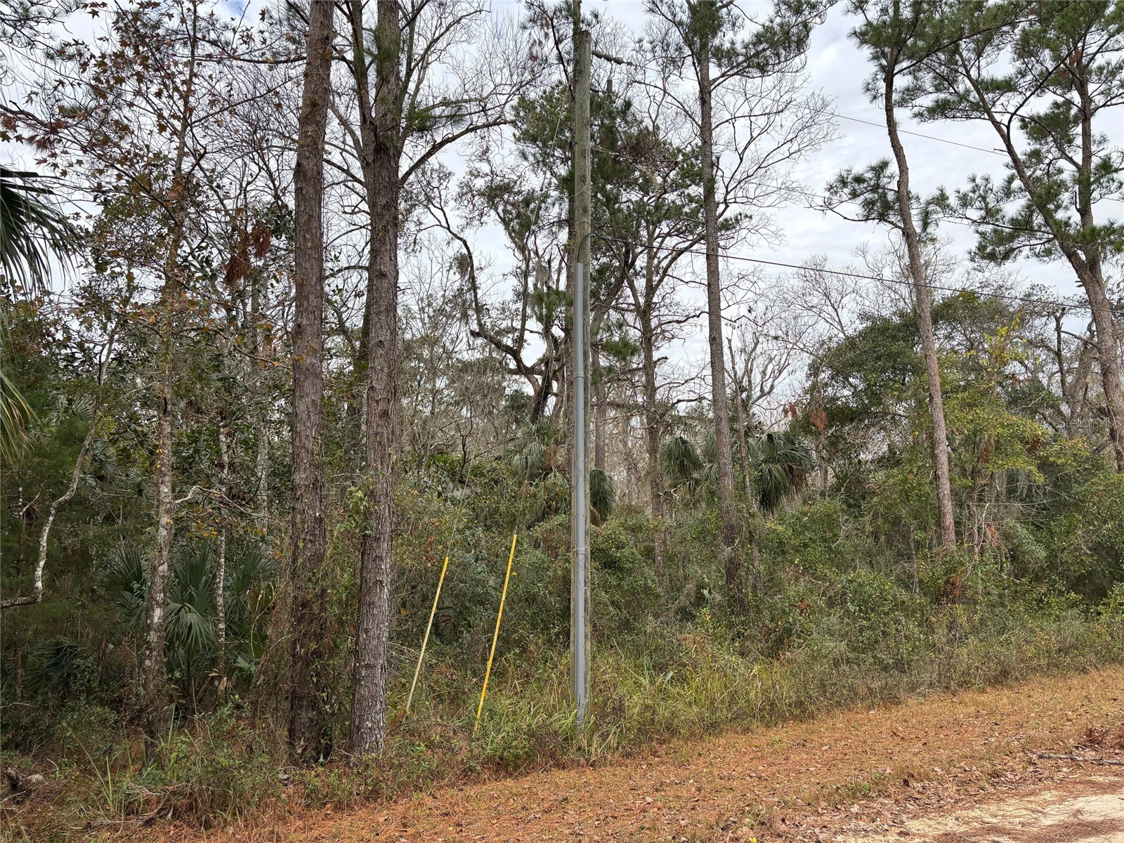 Lot 12 Carolina Dove Road Brooksville FL 34614 W7885305 image4