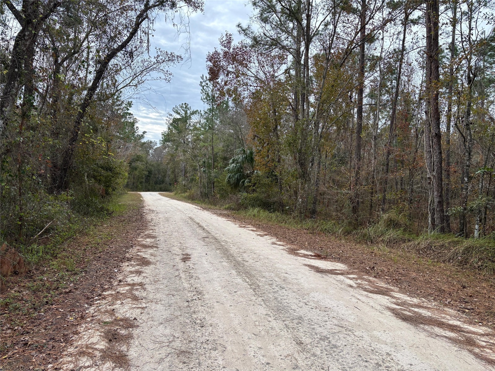 Lot 12 Carolina Dove Road Brooksville FL 34614 W7885305 image5