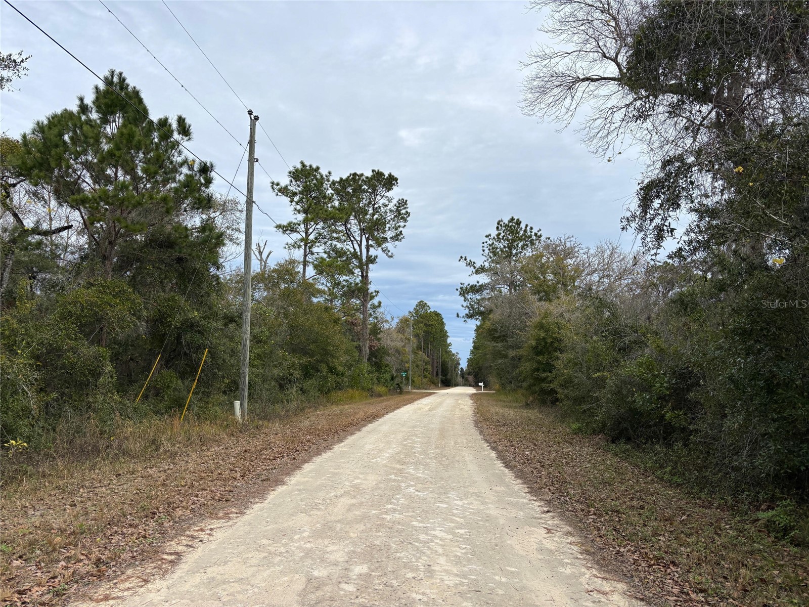 Lot 12 Carolina Dove Road Brooksville FL 34614 W7885305 image6