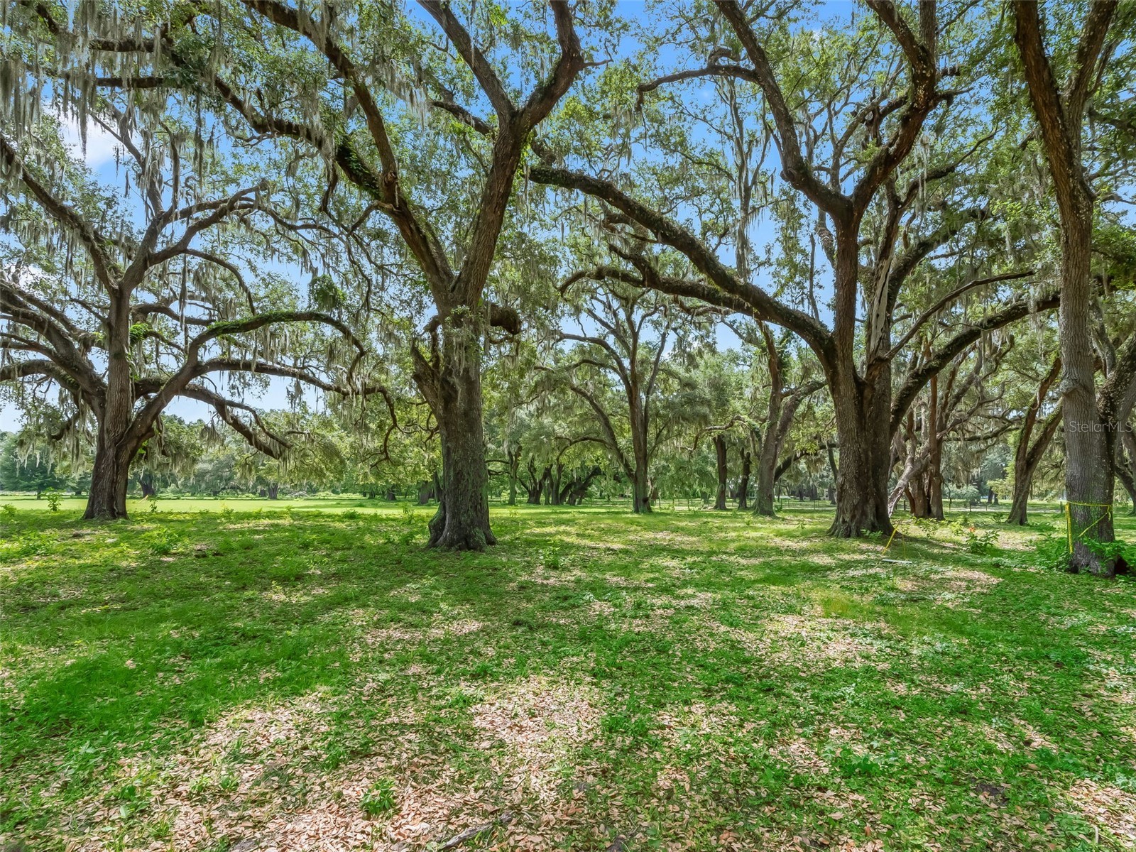 Lot 12 Cr 543 Bushnell FL 33513 TB8523193 image1