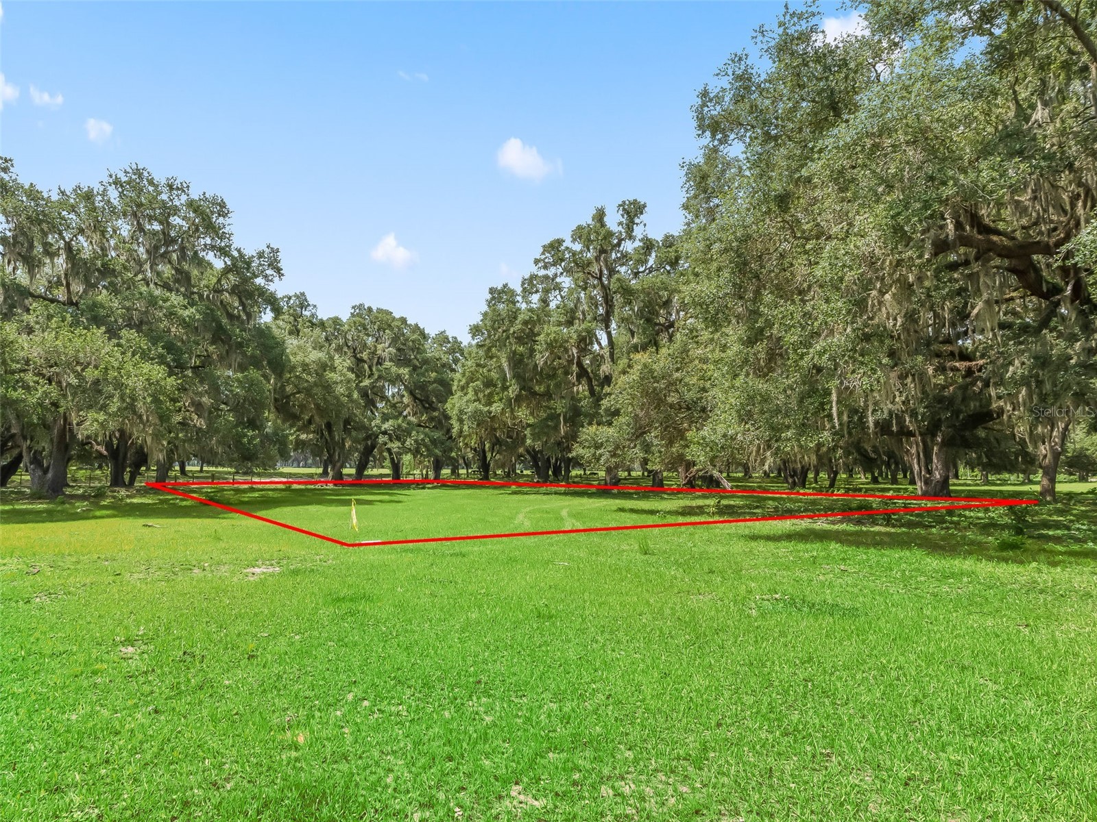 Lot 12 Cr 543 Bushnell FL 33513 TB8523193 image10