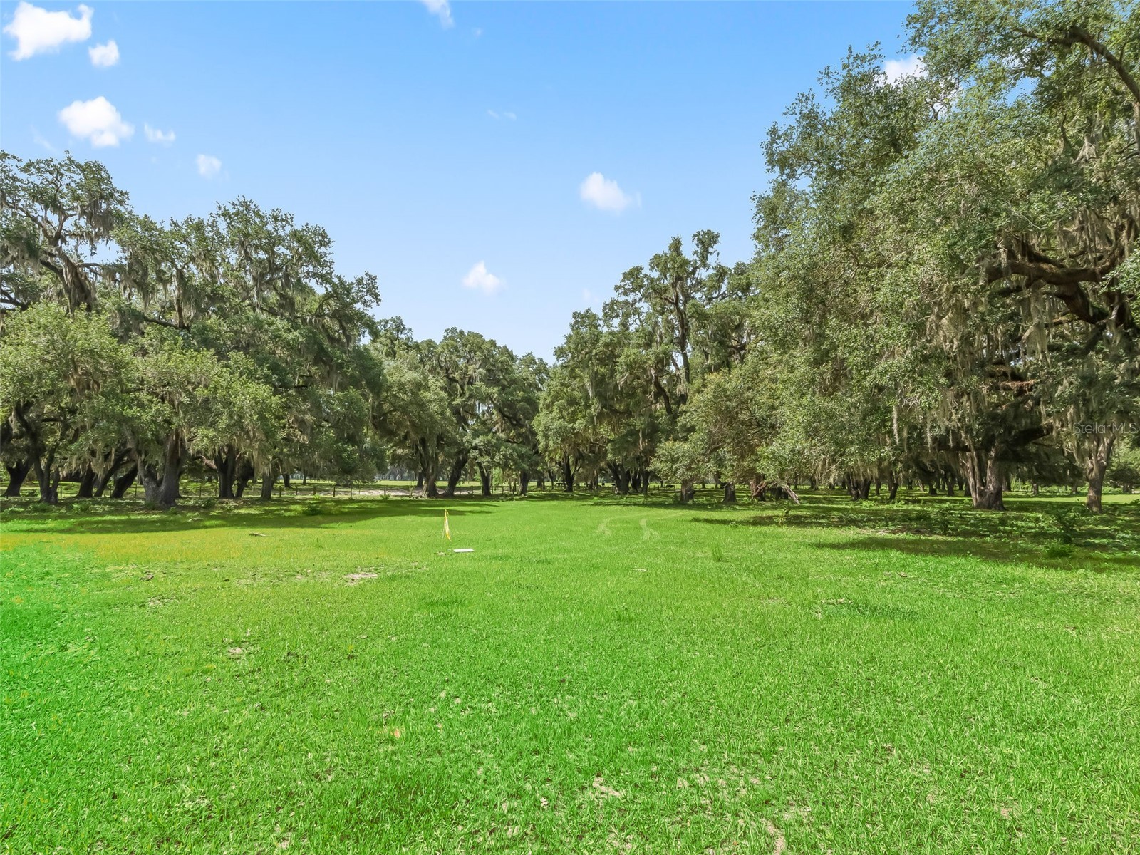 Lot 12 Cr 543 Bushnell FL 33513 TB8523193 image11