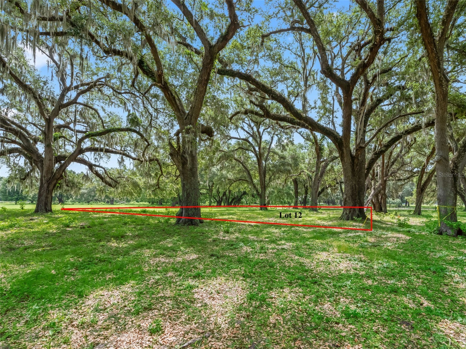Lot 12 Cr 543 Bushnell FL 33513 TB8523193 image12