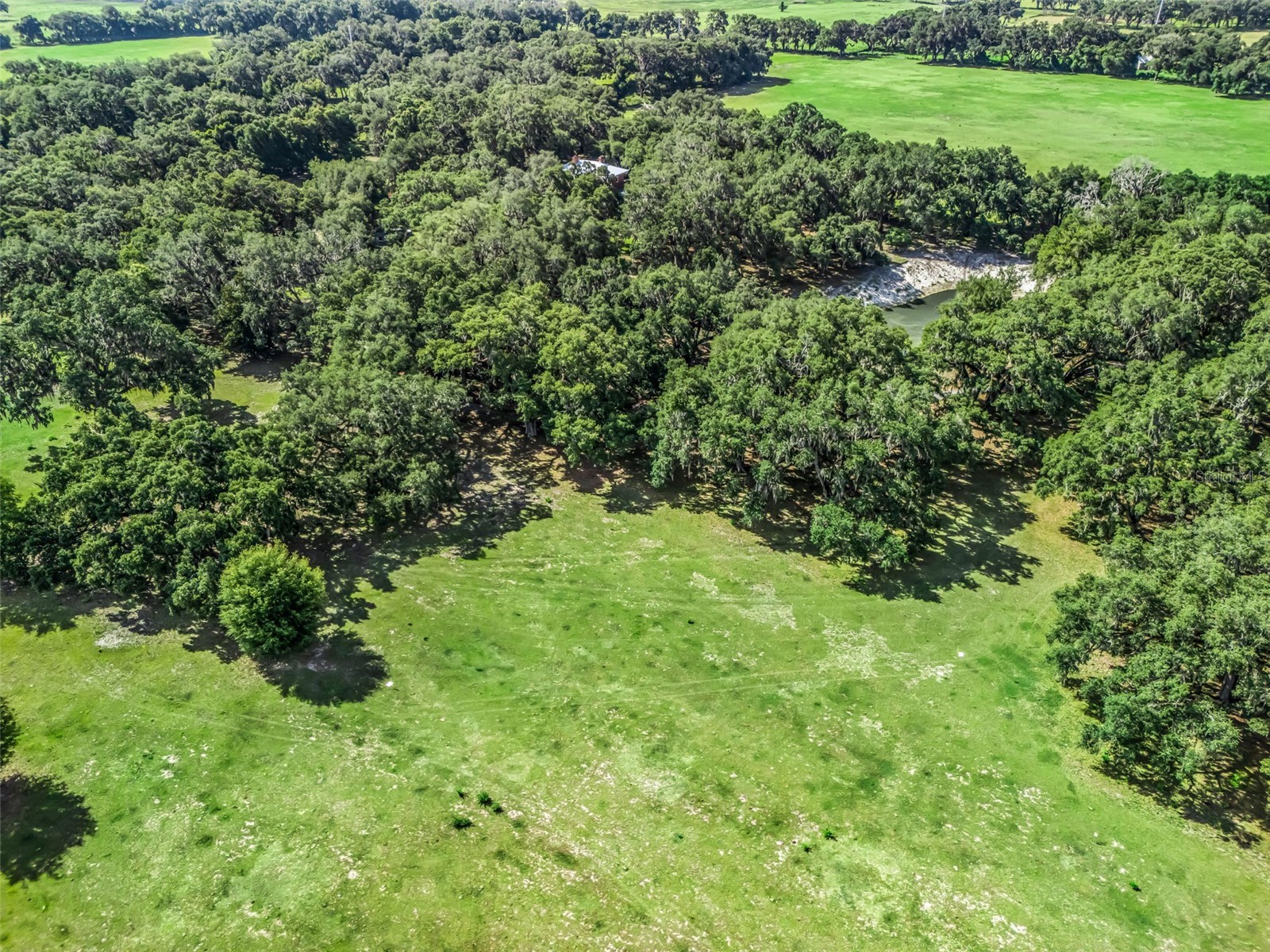 Lot 12 Cr 543 Bushnell FL 33513 TB8523193 image15