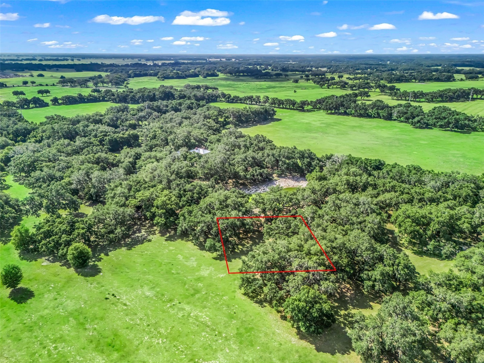 Lot 12 Cr 543 Bushnell FL 33513 TB8523193 image16