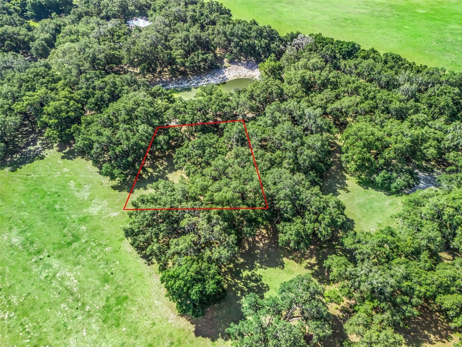 Lot 12 Cr 543 Bushnell FL 33513 TB8523193 image17